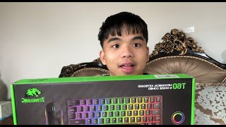 Temu Tech Wired Gaming Keyboard and Mouse Combo T60 Pro Compact 60 Review Unboxing  Typing Test [upl. by Alis465]