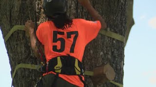 International tree climbing competition is happening in Albuquerque [upl. by Naugal]