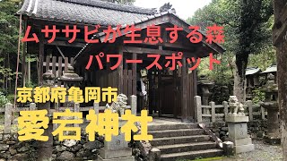 【参拝シリーズ＃14】京都府亀岡市『愛宕神社（あたごじんじゃ）』愛宕神社の本宮、パワースポット [upl. by Yhtomit329]