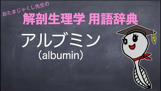 アルブミン【解剖生理学かんたん用語辞典】 [upl. by Attenaj756]