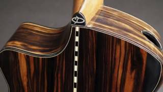 Beardsell Macassar Ebony Guitar at Guitar Gallery [upl. by Noedig843]