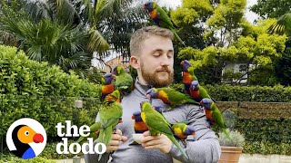 Wild Lorikeet Gets All His Friends To Visit This Guy  The Dodo [upl. by Castillo]