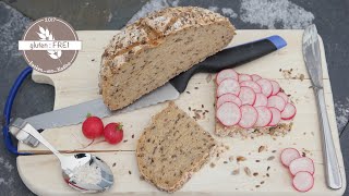 WAHNSINNIG leckeres Brot Körnerkruste  laktosefrei  vegan  glutenfrei backen mit Nadine [upl. by Marte]