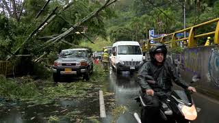 Así fue la tormenta eléctrica en Medellín con granizo y que causó caída de árboles [upl. by Rodi]