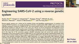 The Case for the Use of quotRed Linesquot in the Governance of Life Sciences Research [upl. by Ahsim]