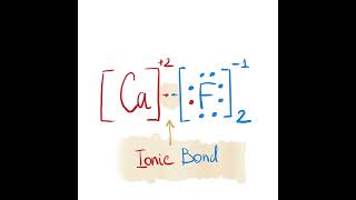 Calcium Fluoride  Lewis Dot Structure [upl. by Shulem]