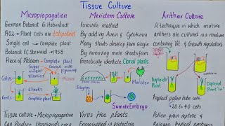 Tissue culture  Meristem culture  Anther culture  Cell suspension culture  class 12 [upl. by Elehcor]