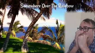 Somewhere Over the Rainbow  Israel kamakawiwoole  Harmonica cover [upl. by Ayikat]