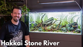 Neues Aquarium Projekt Hakkai Stone River inspiriert von Takashi Amano [upl. by Nesyt362]