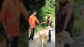 Kari Kada Bhai Maattana 😂😂 TheVillagee thevillege shorts comedy funny trending video viral [upl. by Ennobe]