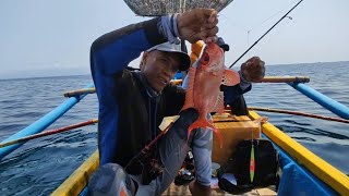 Ikan apa ini Mancing Ikan merah Merona Di Sembulungan muncar Banyuwangi [upl. by Leivad]