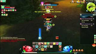 Ragnarok Online 2 ML22 Monk vs ML30 Knight [upl. by Swec440]