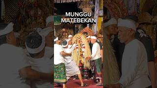 Calonarang Desa Adat Munggu calonarang balineseculture shorts [upl. by Sherburn]