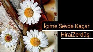 İçime sevda kaçar  HiraiZerdüş [upl. by Nnayllek]