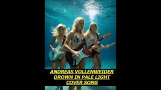 Andreas Vollenweider liveremixnew age COVER Nenad Jacimovic celticharp harpplayer harp harfa [upl. by Airtina]