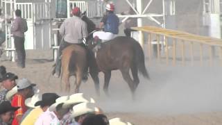 el mezcalero vs el mil amores vs la belleza negra [upl. by Ursal681]