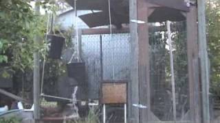 Automatic Chicken Door Opener version 10 [upl. by Leone]