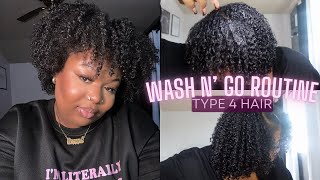 My Wash N Go Routine 2024  Type 43B Natural Curly Hair [upl. by Ailati522]