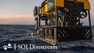 Mocha Island Seeps Deeper Seeps  SOI Divestream 745 PART 2 [upl. by Rey]