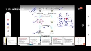 Allograft Rejection  Compatibility test  Graft Vs Host Reaction [upl. by Allsopp]