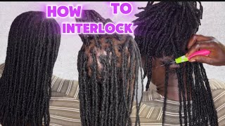 EASY AND SAFEST WAY TO INTERLOCK LOCS WITH A CROCHET NEEDLE LOC MAINTENANCE [upl. by Lovich]