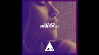 Gary Caos  Boogie Wonder Original Mix [upl. by Anidan149]