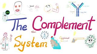 The Complement System  The most COMPREHENSIVE Explanation [upl. by Cyler]