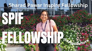 How to apply for Sharad Pawar Inspire Fellowship in Agriculture 202425 by SPIF Alumni spif fellow [upl. by Murdock]