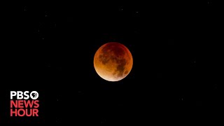 WATCH LIVE Red blood ‘supermoon’ lunar eclipse [upl. by Aivuy]