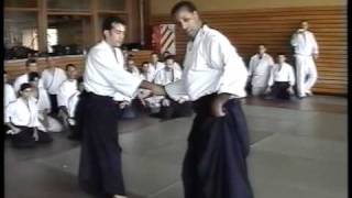 Aikido Shihan Donovan Waite Sensei  2005 Argentina Bs As  Aihanmi Katatetori Iriminage 5 ways [upl. by Rosenblast]