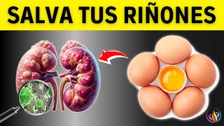 TOP Proteína Milagrosa para Reducir la Creatinina y Salvar tus Riñones  Saludable y Feliz [upl. by Genesa770]