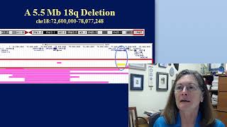 Gene Dosage Map Examples [upl. by Gnanmas]