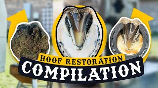 FARRIER ASMR  Horse Hoof Cleaning COMPILATION SATISFYING [upl. by Zimmerman]