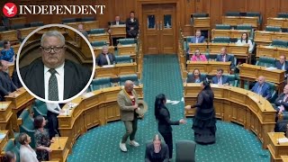 MPs break into protest haka to disrupt New Zealand parliament [upl. by Imac410]