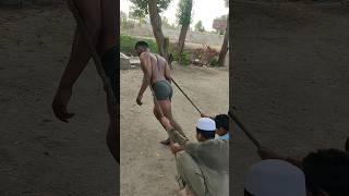 akhara main suhaga  hard workout motivation fitness wrestler wrestlingmatch [upl. by Anyar]