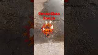 Govardhan PoojaHappy Diwali shorts ytshorts viralpjdivya [upl. by Peterson]