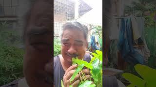 Seedless 😁 pinoy pinoylaughtrip comedy funny [upl. by Howlond]