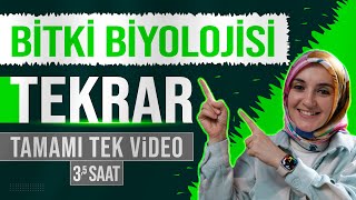 13 Bitki Biyolojisi FULL TEKRAR  12 Sınıf Biyoloji  AYT Biyoloji Konu Anlatımı 13 [upl. by Notlrac]