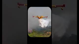 How Rescue Planes Refill Water in Seconds for Wildfire Missions [upl. by Eanrahc736]