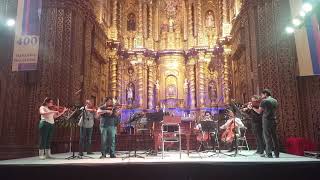 Pasional pasillo para violín y orquesta de cuerdas [upl. by Aerbma346]