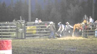 Barrel Racing Accident [upl. by Marquez707]