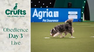 Obedience Day 3 LIVE  Dog Obedience Championship  Crufts 2024 [upl. by Oirevas532]