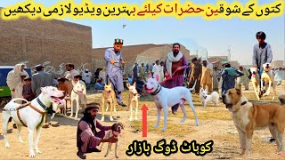 Biggest Sunday Dogs Market In Pakistan Latest Updates 02062024  Kohati Gultair vs Bully Kutta [upl. by Lamprey]