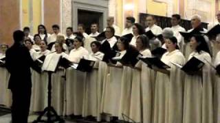 I Martiri Alle Arene by Schola Cantorum da Catedralmp4 [upl. by Eniger]