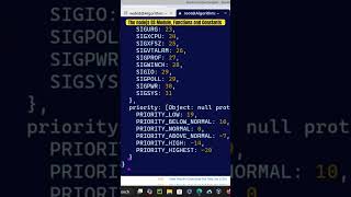 Kali Linux The nodejs OS Module Functions and Constants [upl. by Nomolos]