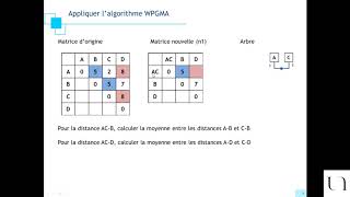 Phylogénie  WPGMA pas UPGMA [upl. by Tnomad]