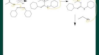 Amide formation from acid and DCC problem [upl. by Cherrita361]