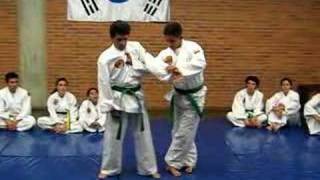 SINMOO HAPKIDO STEP BY STEP [upl. by Nevur268]