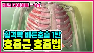 호흡근을 제대로 사용하여 횡격막호흡하는 방법 횡격막 바른호흡법 1탄 리샘 배꼽다이어트04 교정의 신 리샘TV [upl. by Groh145]