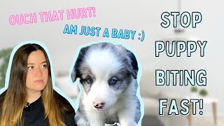 How to STOP PUPPY BITING  TEETHING in 3 Minutes [upl. by Annirtak]